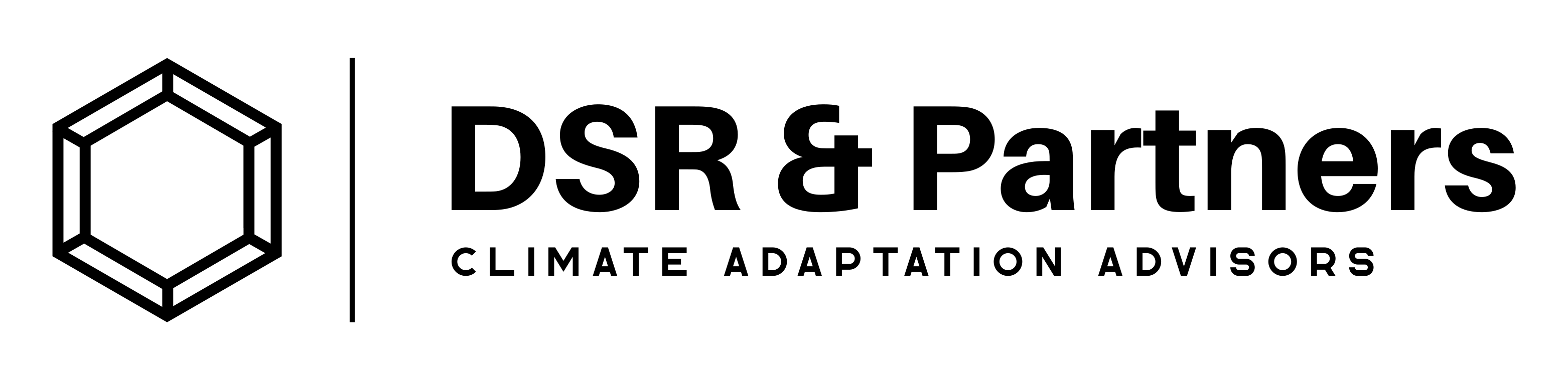 DSR & Partners
